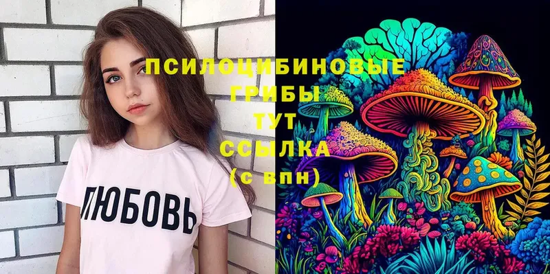 Галлюциногенные грибы MAGIC MUSHROOMS  Лебедянь 